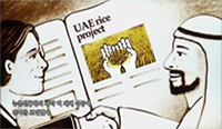 농촌진흥청 UAE사막 벼프로젝트 …
